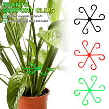 Load image into Gallery viewer, 4PCS Reusable Plant Stem Folding Frame Garden Tools No Stake Trellis Plant Stem Support Support Branches Stem Organizer

