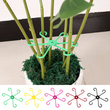 Load image into Gallery viewer, Cross-Border Plant Gathering Rack Long Short Colorful Matching Anti-Rust Inverted Assembly Support Rack
