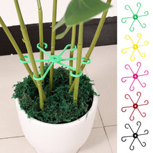 Load image into Gallery viewer, Cross-Border Plant Gathering Rack Long Short Colorful Matching Anti-Rust Inverted Assembly Support Rack
