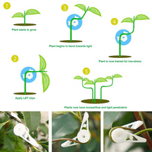 Load image into Gallery viewer, 10Pcs Plant Branches Bender Training Clips Garden Stem Trainer Clips 360 Degree Adjustable Planter Holder for Low Stress Training Tool

