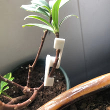 Load image into Gallery viewer, 10Pcs Plant Branches Bender Training Clips Garden Stem Trainer Clips 360 Degree Adjustable Planter Holder for Low Stress Training Tool
