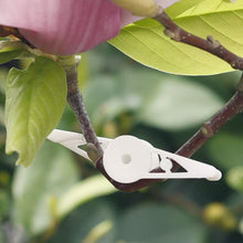 Load image into Gallery viewer, 10Pcs Plant Branches Bender Training Clips Garden Stem Trainer Clips 360 Degree Adjustable Planter Holder for Low Stress Training Tool
