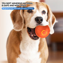Load image into Gallery viewer, Automatic Jumping Ball for Pet Dog Electric Interactive Training Toys Puppy Fetch Ball Toys Indoor Playing Ball
