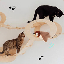 Load image into Gallery viewer, Rechargeable Bird Cat Toy Things for Cats Interactive Cat Toys Catnip Cat's Accessories Supplies Pet Products Home Garden
