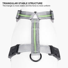 Load image into Gallery viewer, Large Dog Harness Reflective Adjustable Dog Collar Dog Leash Small and Medium Dog Accessories
