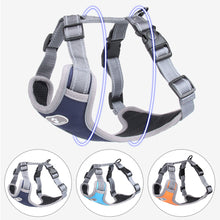 Load image into Gallery viewer, Large Dog Harness Reflective Adjustable Dog Collar Dog Leash Small and Medium Dog Accessories
