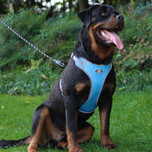 Load image into Gallery viewer, Large Dog Harness Reflective Adjustable Dog Collar Dog Leash Small and Medium Dog Accessories
