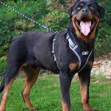 Load image into Gallery viewer, Large Dog Harness Reflective Adjustable Dog Collar Dog Leash Small and Medium Dog Accessories
