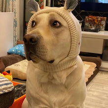 Load image into Gallery viewer, Pet Knit Cap Dog Winter Hat Funny Warm Pet Beanie Clothing Large dog Labrador Golden Retriever Cap Winter Pet Accessory
