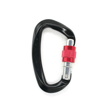 Load image into Gallery viewer, 25kN Professional Rock Climbing D-Shape Carabiner Buckle Safety Screw Lock Spring-Loaded Gate Aluminum Outdoor Mountaineering Kits
