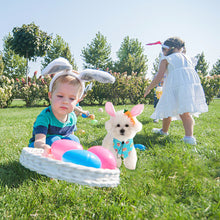 Load image into Gallery viewer, 2PCS Dog Easter Costumes Adorable Bunny Ears Headband Cute Dog Bandana Cats Photography Headbands Pet Costume Headwears
