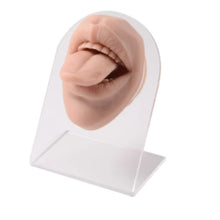 Load image into Gallery viewer, Silicone Model of Human Facial Features Mouth 3D Tongue Model Puncture Training Mold Lip Nail Tongue Nail Display Stand
