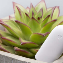 Load image into Gallery viewer, HHCC Flower Care Smart Plant Monitor Grass Soil Water Fertility Smart Tester Sensor Garden Flower Monitor For Xiaomi MIjia APP

