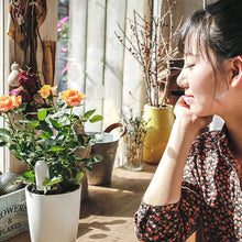 Load image into Gallery viewer, HHCC Flower Care Smart Plant Monitor Grass Soil Water Fertility Smart Tester Sensor Garden Flower Monitor For Xiaomi MIjia APP
