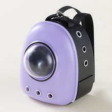 Load image into Gallery viewer, Miniature Cute Cat Backpack Simulation Mini Pet Shoulder Bag Model DIY Dollhouse Accessories Gifts for Girls Friends
