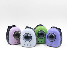 Load image into Gallery viewer, Miniature Cute Cat Backpack Simulation Mini Pet Shoulder Bag Model DIY Dollhouse Accessories Gifts for Girls Friends
