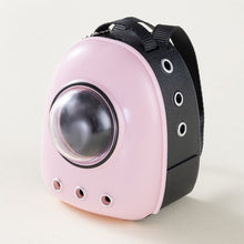 Load image into Gallery viewer, Miniature Cute Cat Backpack Simulation Mini Pet Shoulder Bag Model DIY Dollhouse Accessories Gifts for Girls Friends
