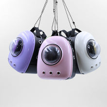 Load image into Gallery viewer, Miniature Cute Cat Backpack Simulation Mini Pet Shoulder Bag Model DIY Dollhouse Accessories Gifts for Girls Friends

