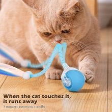 Load image into Gallery viewer, Cat Interactive Ball Toys Automatic Rolling Ball Faux Tail Electric Cat Toys Rechargeable Self-moving Kitten Toys
