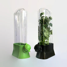 Load image into Gallery viewer, Vanilla Vegetable Fresh-keeping Box Pressure Resistant Environmentally Friendly Fresh-keeping Device Creative Coriander Fresh-keeping Cup Kitchen Supplies
