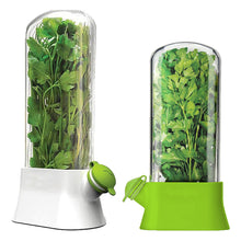 Load image into Gallery viewer, Vanilla Vegetable Fresh-keeping Box Pressure Resistant Environmentally Friendly Fresh-keeping Device Creative Coriander Fresh-keeping Cup Kitchen Supplies

