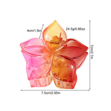 Load image into Gallery viewer, Gradient Matte Five-leaf Flower Hair Grabbing Clip Simple Stylish Hairpin Hair Claw Clip Headwear Hair Accessory for Women
