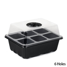 Load image into Gallery viewer, 6/12 Holes Seedlings Trays Seed Starter Tray Adjustable Ventilation Humidity Seedlings Germination Tray For Seeds Growing Starting
