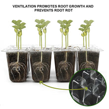 Load image into Gallery viewer, 6/12 Holes Seedlings Trays Seed Starter Tray Adjustable Ventilation Humidity Seedlings Germination Tray For Seeds Growing Starting
