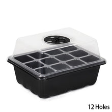 Load image into Gallery viewer, 6/12 Holes Seedlings Trays Seed Starter Tray Adjustable Ventilation Humidity Seedlings Germination Tray For Seeds Growing Starting
