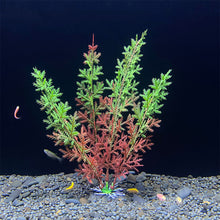 Load image into Gallery viewer, Simulation Artificial Plants Aquarium Decor Grass Water Weeds Ornament Plant Fish Tank Aquarium Grass Decoration Accessories
