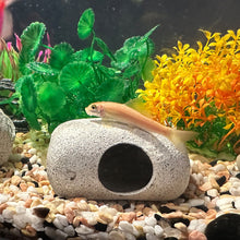 Load image into Gallery viewer, Purple Sand Aquarium Decoration Fish Shrimps Shelter House Pottery Landscaping Ornaments Decor Fish Tank Submarine Cave Decor
