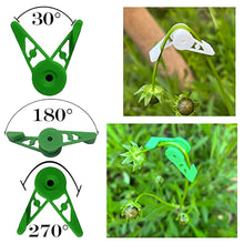 Load image into Gallery viewer, 10pcs 360 Degree Adjustable Planter Holder Plant Branches Bender Training Clips Garden Stem Trainer Clips for Low Stress Training Tool
