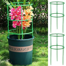 Load image into Gallery viewer, Plant Support Pile Half Round Climbing Vines Stake Bonsai Fixing Rod Garden Plant Stake Holder Flower Ring Support Rack
