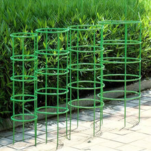 Load image into Gallery viewer, Plant Support Pile Half Round Climbing Vines Stake Bonsai Fixing Rod Garden Plant Stake Holder Flower Ring Support Rack
