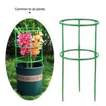 Load image into Gallery viewer, Plant Support Pile Half Round Climbing Vines Stake Bonsai Fixing Rod Garden Plant Stake Holder Flower Ring Support Rack
