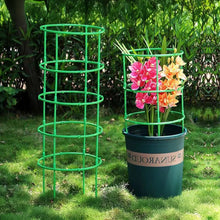 Load image into Gallery viewer, Plant Support Pile Half Round Climbing Vines Stake Bonsai Fixing Rod Garden Plant Stake Holder Flower Ring Support Rack
