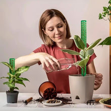 Load image into Gallery viewer, Moss Poles Plants Plant Support Plastic Transparent Reusable Indoor Potted Sticks Train Creeper Plant to Grow Upward For Garden

