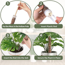 Load image into Gallery viewer, Moss Poles Plants Plant Support Plastic Transparent Reusable Indoor Potted Sticks Train Creeper Plant to Grow Upward For Garden
