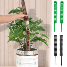 Load image into Gallery viewer, Moss Poles Plants Plant Support Plastic Transparent Reusable Indoor Potted Sticks Train Creeper Plant to Grow Upward For Garden
