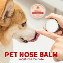 Load image into Gallery viewer, Pet Nose Moisturizing Cream Mild Non-toxic Anti-cracking Hydrating Preventing Infection Promoting Healing Dog Cat Universal Nose Cream

