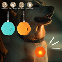 Load image into Gallery viewer, Multifunctional Rechargeable Hexagonal Silicone Luminous Pendant Portable Pet Night Walking Anti-loss Luminous Ornament
