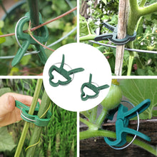 Load image into Gallery viewer, 20pcs/set Horticultural Butterfly Orchid Garden Set Tomato Plant Clip Plastic Clip Horticultural Tools
