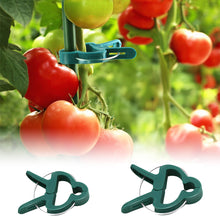 Load image into Gallery viewer, 20pcs/set Horticultural Butterfly Orchid Garden Set Tomato Plant Clip Plastic Clip Horticultural Tools
