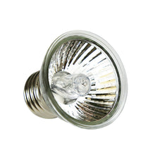 Load image into Gallery viewer, 25W 50W 75W UVA+UVB Pet Reptile Heating Lamp Heat Light Bulb Turtle Lizard Heater Bulb Full Spectrum Sunlamp for Amphibian
