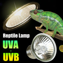 Load image into Gallery viewer, 25W 50W 75W UVA+UVB Pet Reptile Heating Lamp Heat Light Bulb Turtle Lizard Heater Bulb Full Spectrum Sunlamp for Amphibian
