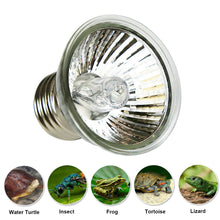 Load image into Gallery viewer, 25W 50W 75W UVA+UVB Pet Reptile Heating Lamp Heat Light Bulb Turtle Lizard Heater Bulb Full Spectrum Sunlamp for Amphibian
