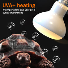 Load image into Gallery viewer, 25W-100W UVA Pet Reptile Heating Lamp Heat Light Bulb Turtle Lizard Heater Bulb Full Spectrum Sunlamp for Amphibian
