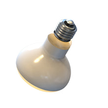 Load image into Gallery viewer, 25W-100W UVA Pet Reptile Heating Lamp Heat Light Bulb Turtle Lizard Heater Bulb Full Spectrum Sunlamp for Amphibian
