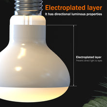 Load image into Gallery viewer, 25W-100W UVA Pet Reptile Heating Lamp Heat Light Bulb Turtle Lizard Heater Bulb Full Spectrum Sunlamp for Amphibian

