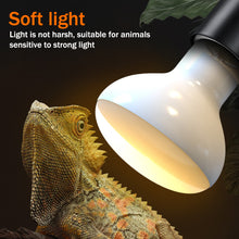 Load image into Gallery viewer, 25W-100W UVA Pet Reptile Heating Lamp Heat Light Bulb Turtle Lizard Heater Bulb Full Spectrum Sunlamp for Amphibian
